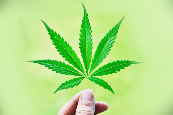 Кракен актуальные ссылки на сегодня